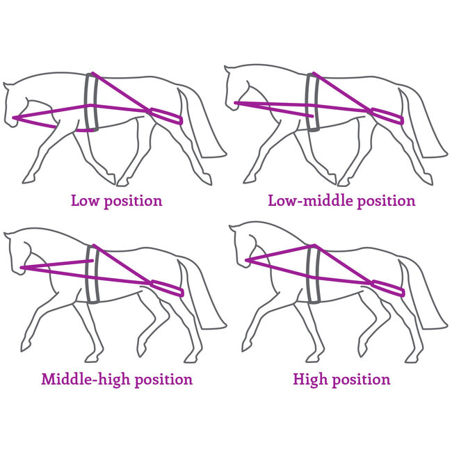 QHP Longeerhulp teugel