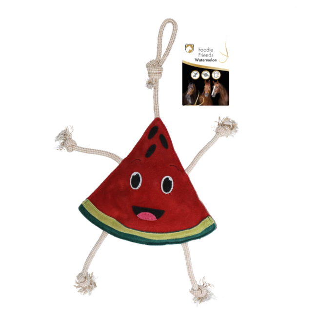 exellent Foodie friends watermelon