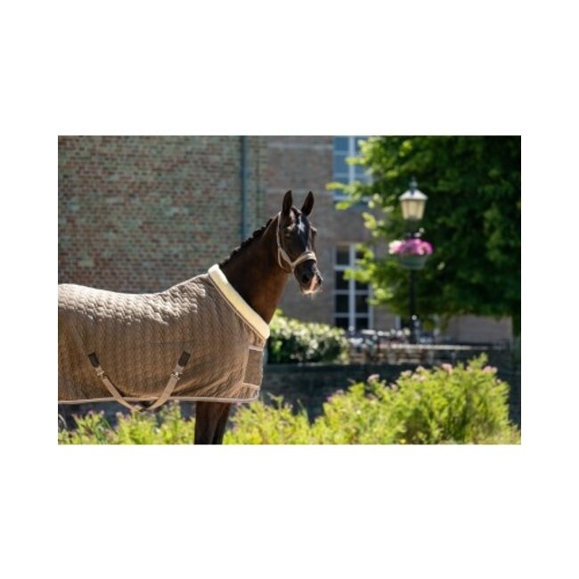 HB Ruitersport HB Showtime Special Peach Sierdeken