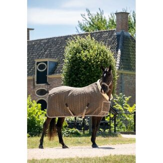 HB Ruitersport HB Showtime Special Peach Sierdeken