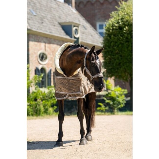 HB Ruitersport HB Showtime Special Peach Sierdeken