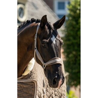 HB Ruitersport HB Showtime velvet halster set