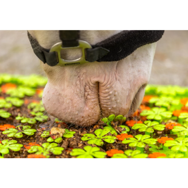 Excellent horse snuffel mat