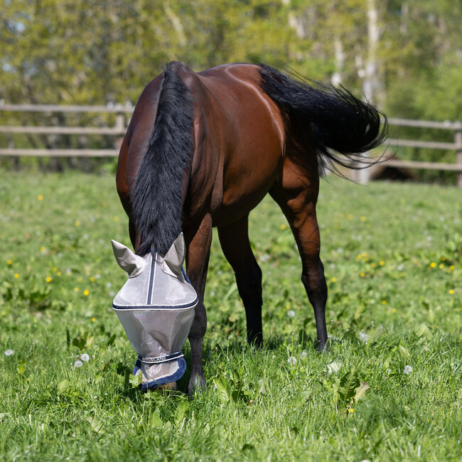 Kingsland KLLando Fly Mask SS26