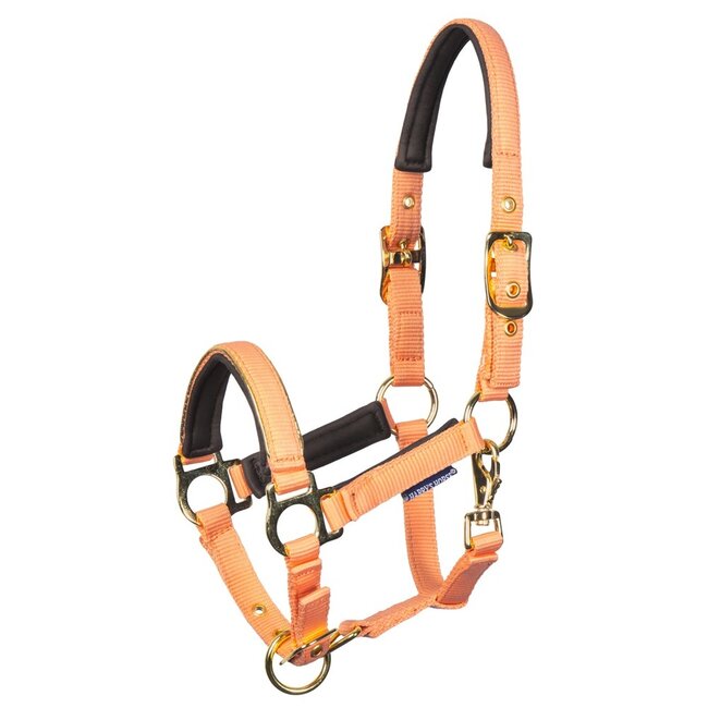 Harry's Horse Veulenhalster Metal S/S26