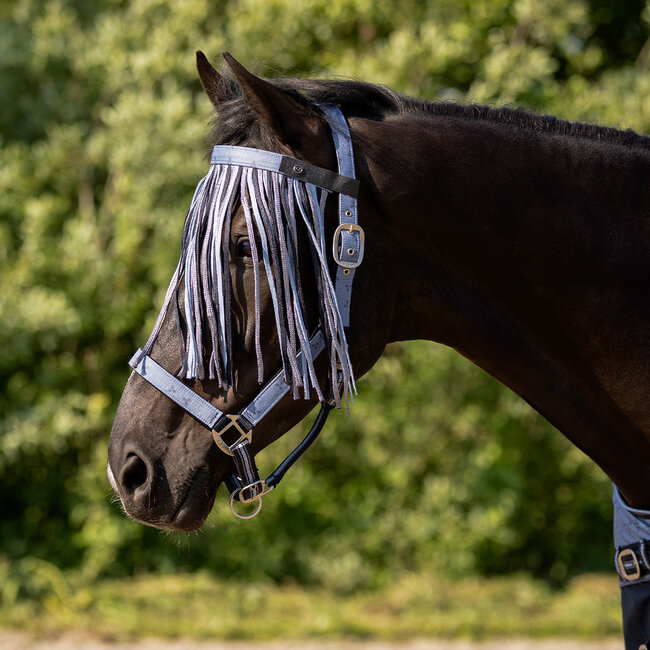 QHP Vliegenfrontriem collection S/S26