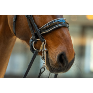 HB Ruitersport Hb Showtime One in a Million Zwart/zilver Cob