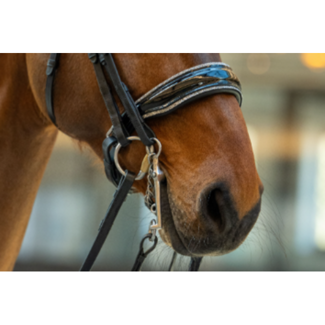 HB Ruitersport Hb Showtime One in a Million Zwart/zilver Cob