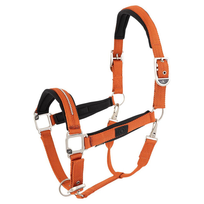 BR BR halster Kimberly Neopreen S/S26