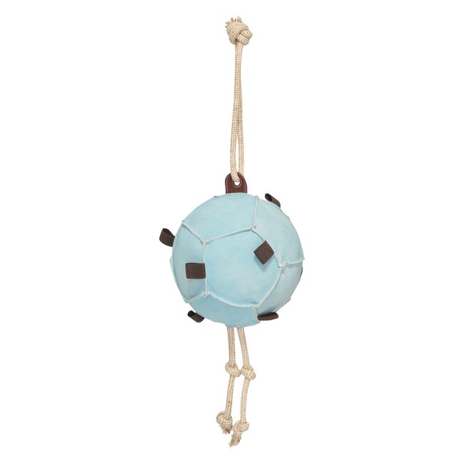 HV Polo Horse ball HVPVolley