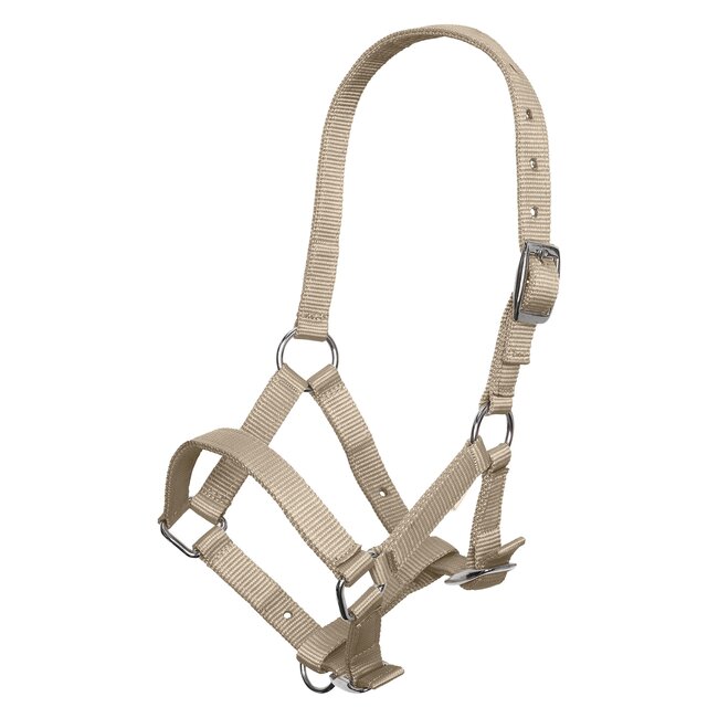 Imperial Riding Halster veulen IRH S/S24