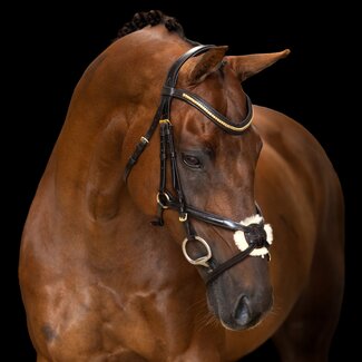 Imperial Riding Mexicaans hoofdstel IRH S/S26