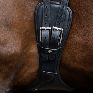 Imperial Riding Dressuursingel IRH anatomisch met rolgespen S/S26