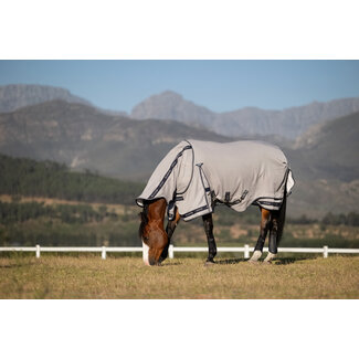 LeMieux Kudos Gladiator Fly Rug S/S26