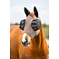 LeMieux Bug Relief Half Fly Mask S/S26
