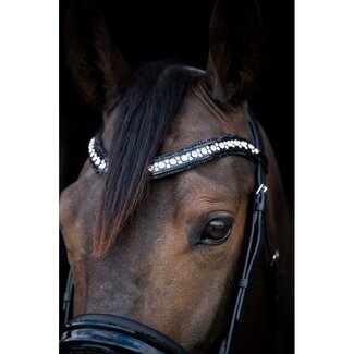 HB Ruitersport HB Showtime Stockholm Hoofdstel