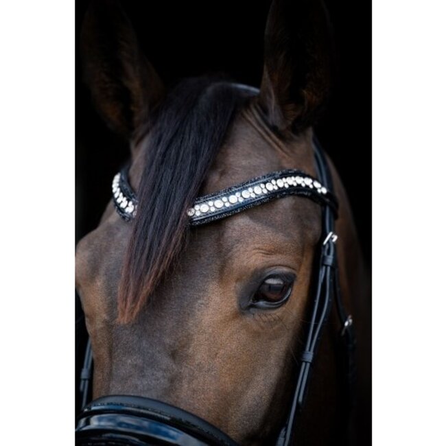 HB Ruitersport HB Showtime Stockholm Hoofdstel