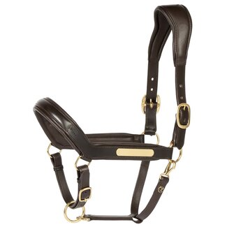 Harry's Horse Halster leder anatomic