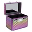 Imperial Riding Grooming box irhshiny small