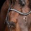 Imperial Riding Hoofdstel IRH Athena Black Cob