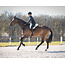 QHP QHP Bareback pad super soft