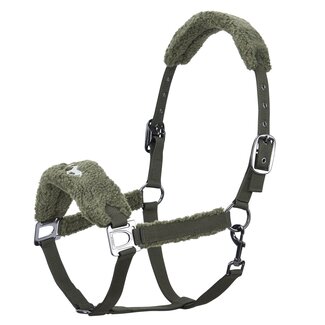 HV Polo Halster HVPTeddy