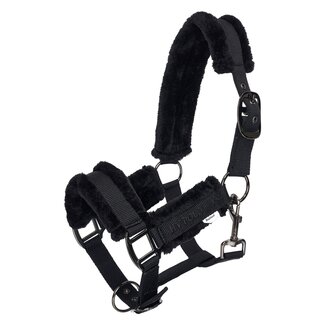 HV Polo Halster HVPSacha