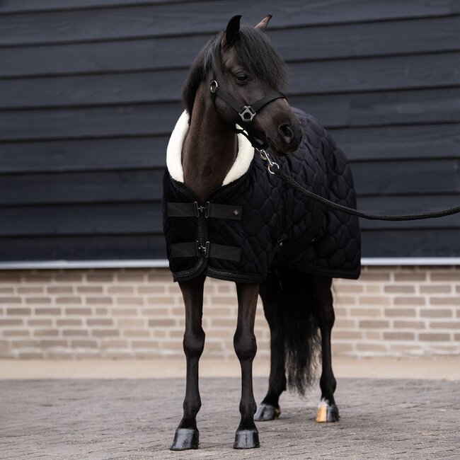 Imperial Riding Showdeken IRHBandit