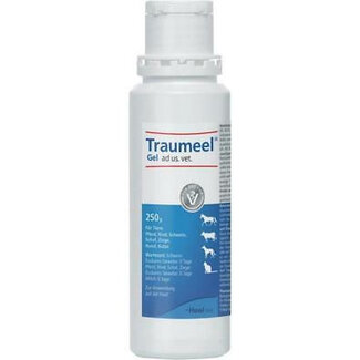 Sectolin Traumeel gel