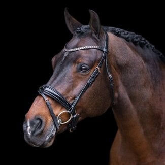 Imperial Riding Imperial Riding Olympia Hoofdstel