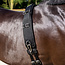 QHP QHP Longeersingel Padded Full Zwart
