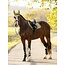 LeMieux 26AW Suede Close Contact Square Zadeldek