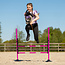 QHP Jump set Hobby Horse