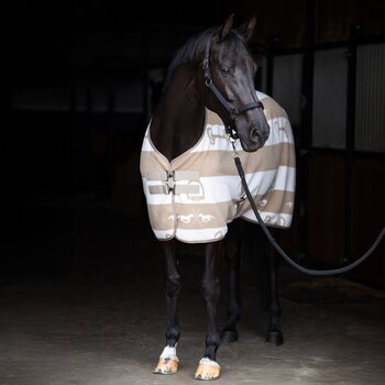 HV Polo A/W26