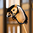QHP QHP Nalanta Touwhalster met teugel Hobby horse Zwart