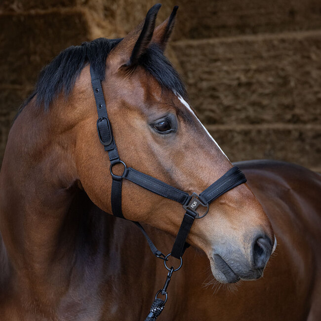 Harry's Horse Halsterset black edition