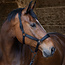Harry's Horse Halsterset black edition