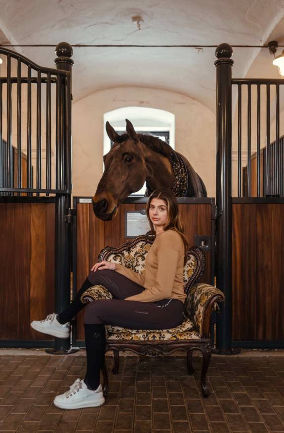 Paard 
