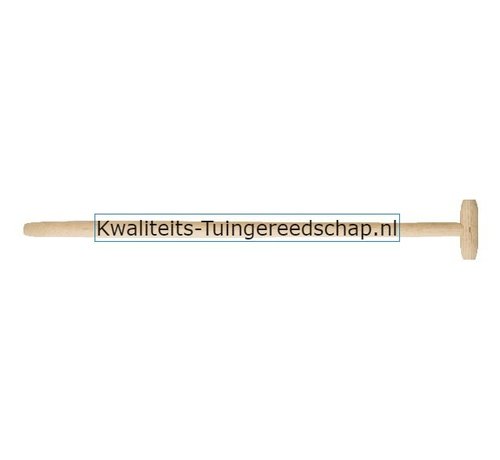 Polet Damesspadesteel T-Steel gepunt 900/38 Vernist