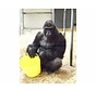 Tubtrug  Gorilla L 42L H33-D45  (Geel)