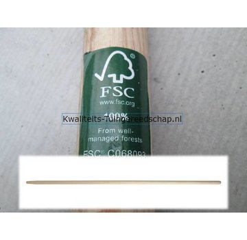 Polet Borstelsteel/Bezemsteel 1400/24 FSC Essen