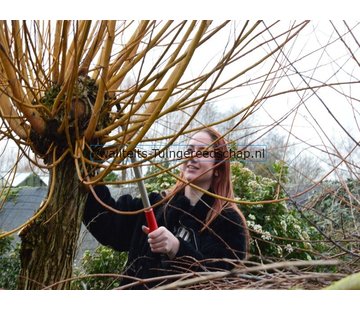 ARS Takkenschaar ARS 630 mm