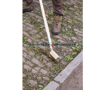 Polet Click-PRO voegenborstel