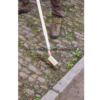 Polet Click-PRO voegenborstel