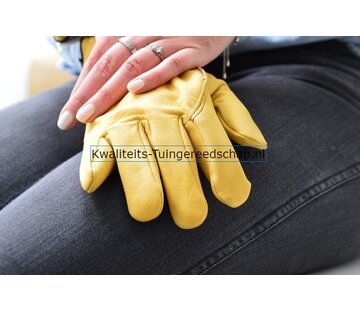Rostaing Handschoen Tradition 9
