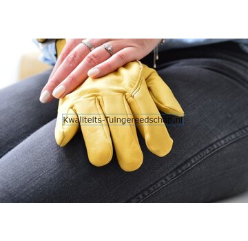 Rostaing Handschoen Tradition 9