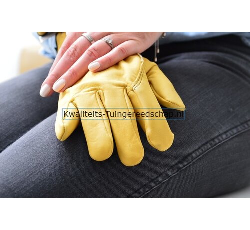 Rostaing Handschoen Tradition 9