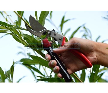 ARS Snoeischaar ARS Large Hands 225 mm Ergonomisch / Rolhandvat