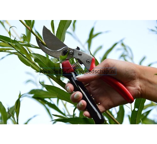 ARS Snoeischaar ARS Large Hands 225 mm Ergonomisch / Rolhandvat