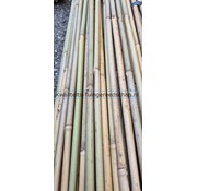 10 st. bamboestokken 4ft. 120 cm A-kwaliteit